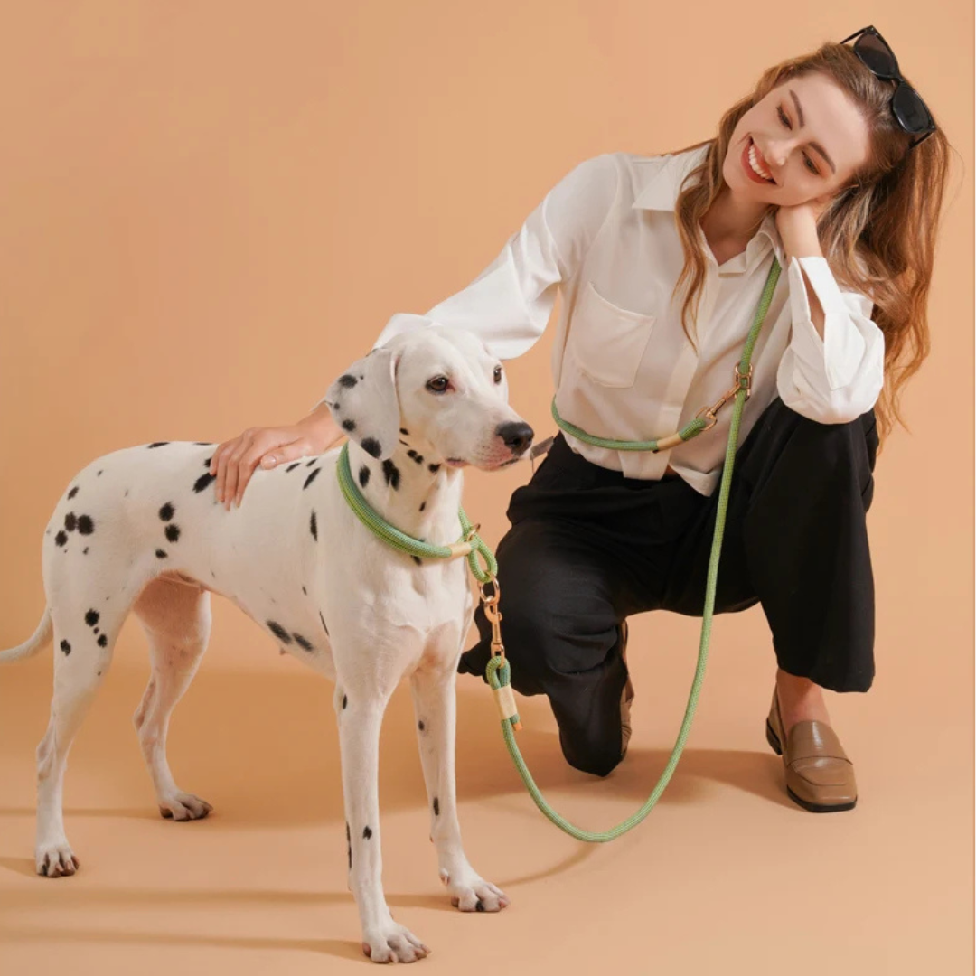 Waopet - Anti-Trek Halsband - Geweven