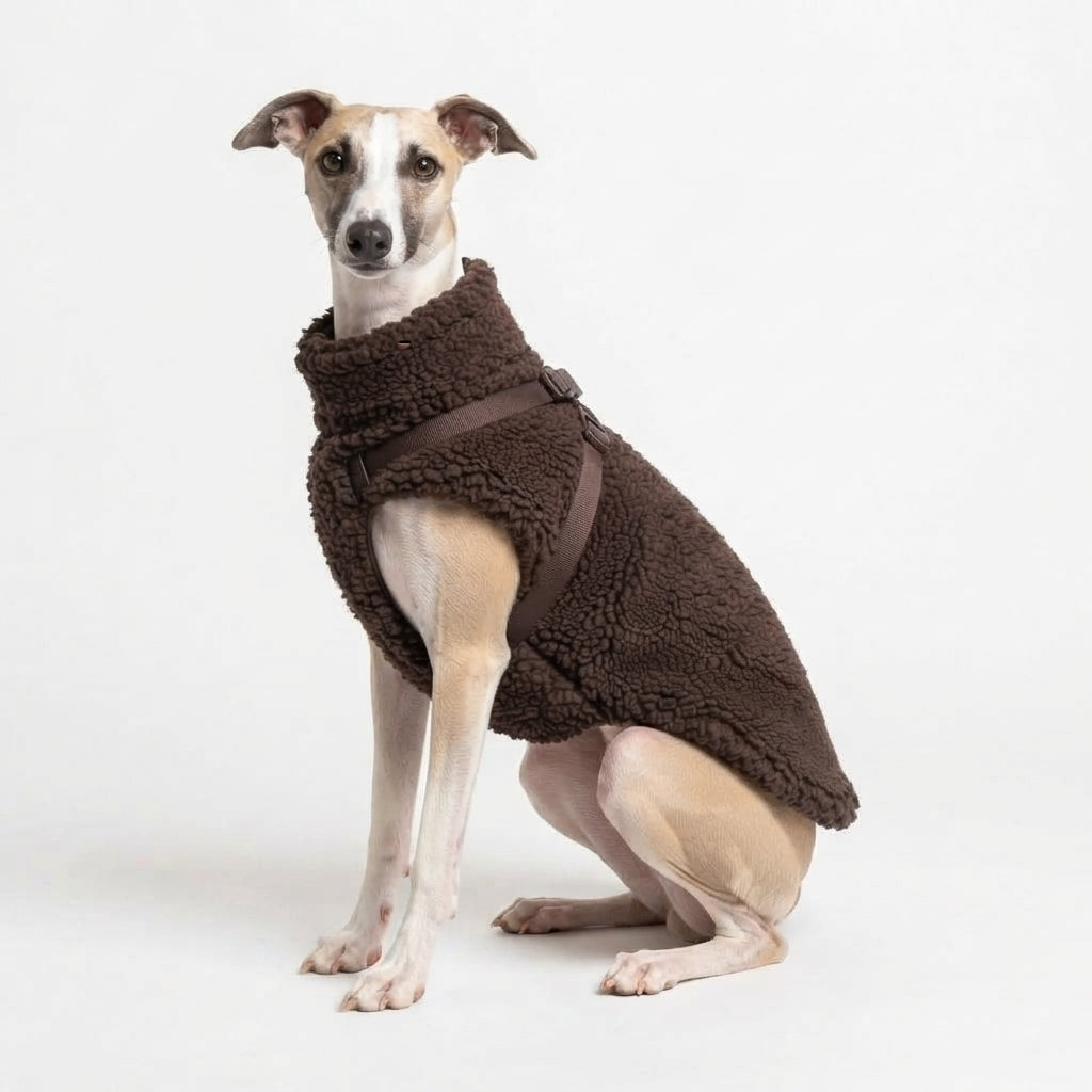 Whippet met VPETBR bruine teddy jas en tuigje