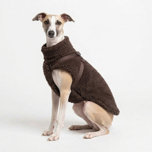 Whippet met VPETBR bruine teddy jas en tuigje