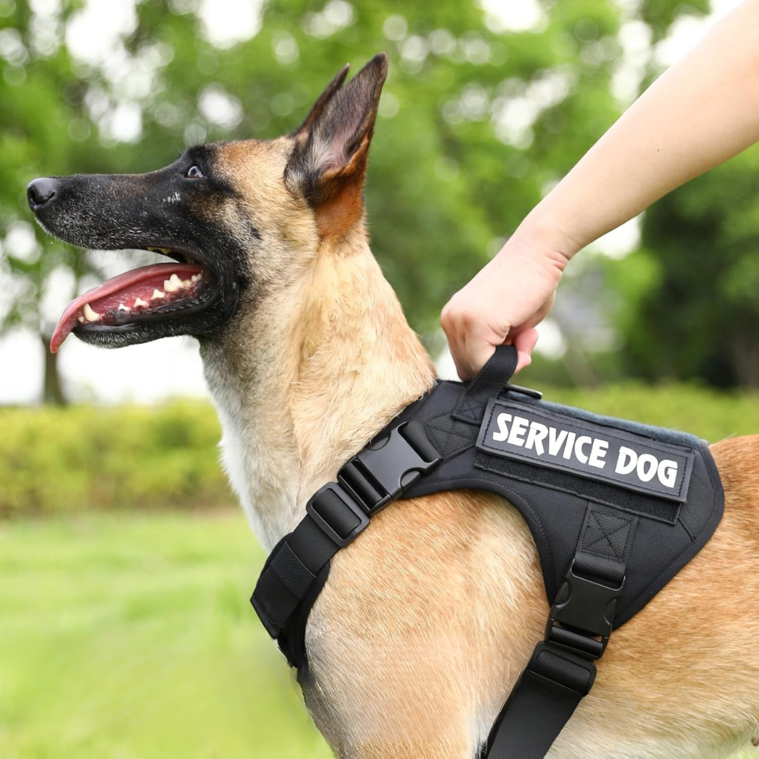 Tactical Hondenharnas inclusief 6 Patches