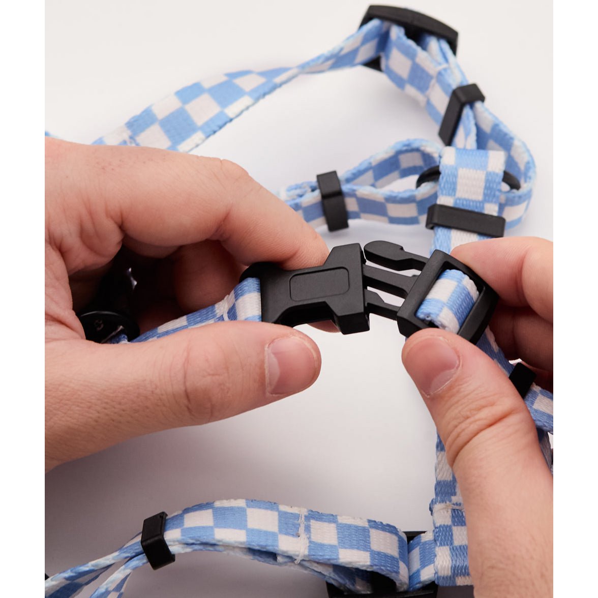 detail hondentuigje in blauwe kleur van het merk cafide