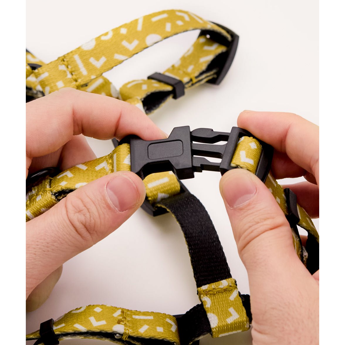 Detail hondentuigje juno van het merk cafide