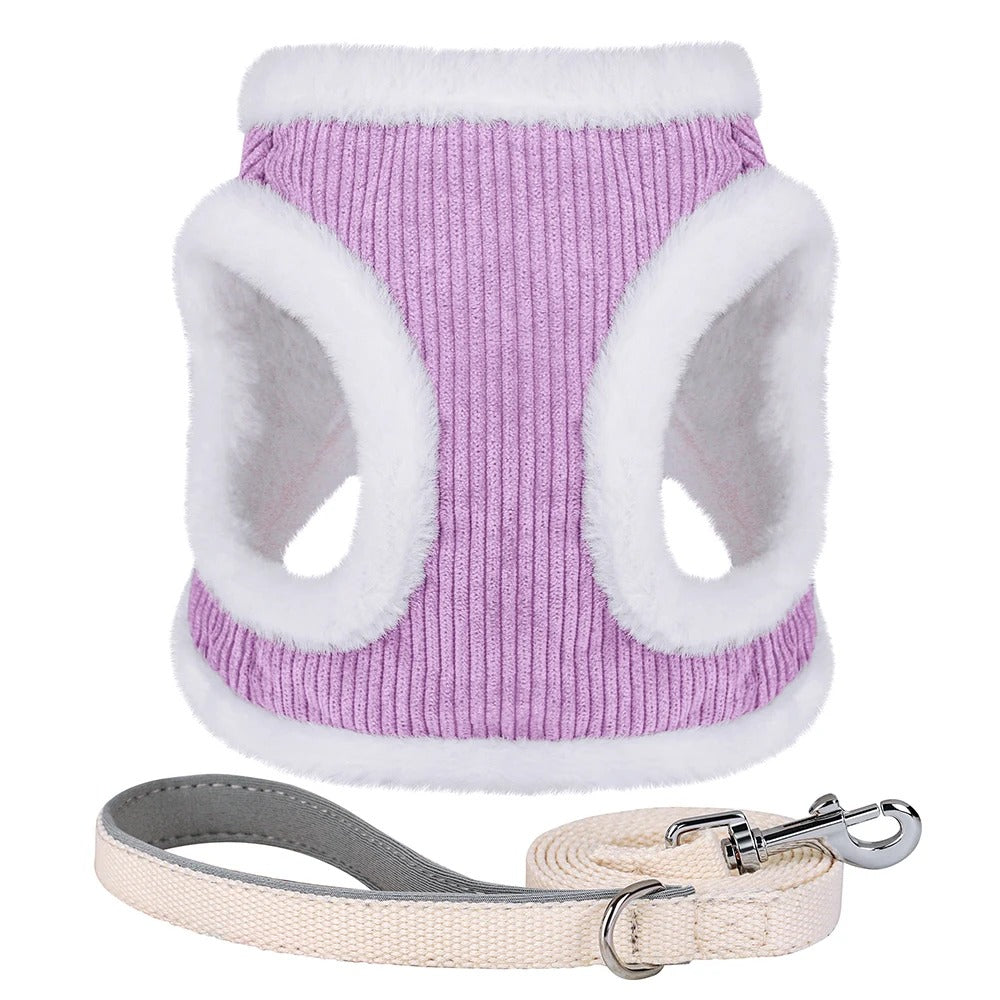 Winters Instaptuigje met Riem (Set) voor Kleine Honden of Katten - Teddy