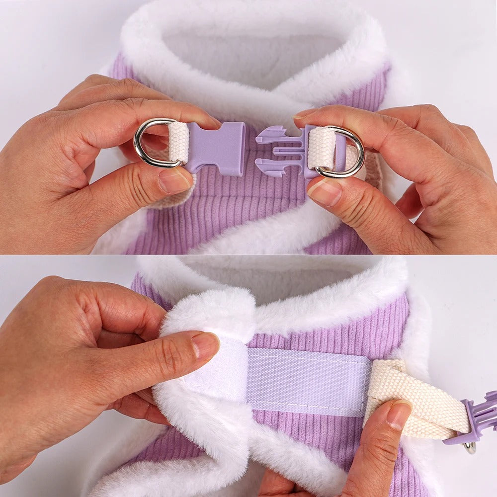 Winters Instaptuigje met Riem (Set) voor Kleine Honden of Katten - Teddy