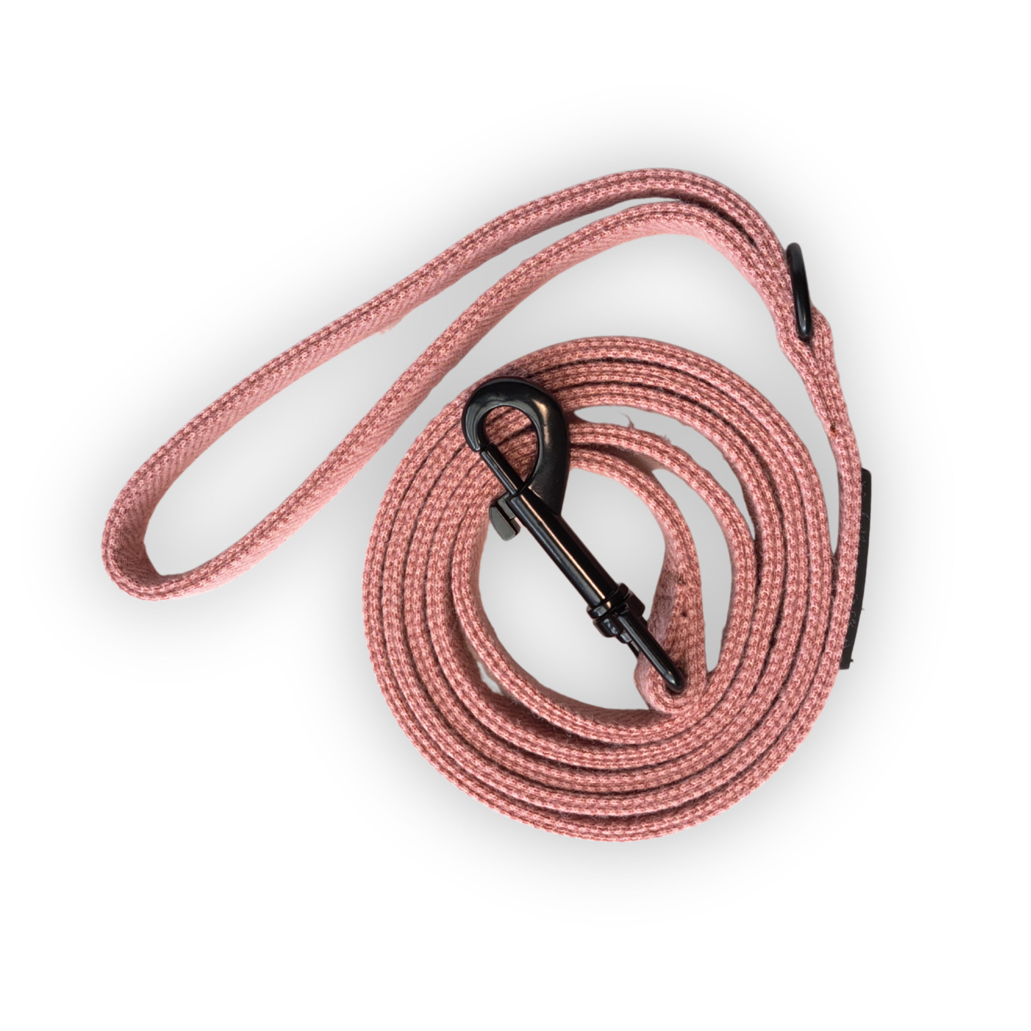 DreamPawz - 3-Delige Set van Halsband met Strik & Leiband - Visgraat